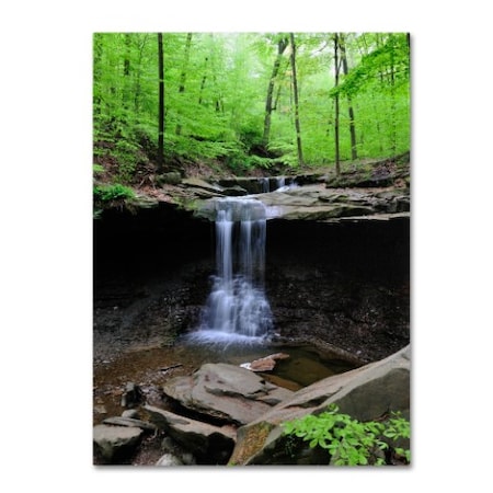 Trademark Fine Art Kurt Shaffer 'Blue Hen Falls' Canvas Art, 24x32 KS472-C2432GG
